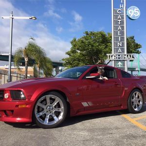 Meet your Posher, Nick